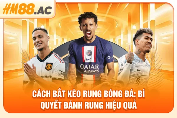 Cách bắt kèo rung bóng đá: Bí quyết đánh rung hiệu quả