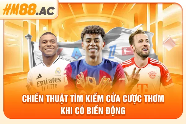 Chiến thuật tìm kiếm cửa cược thơm khi có biến động