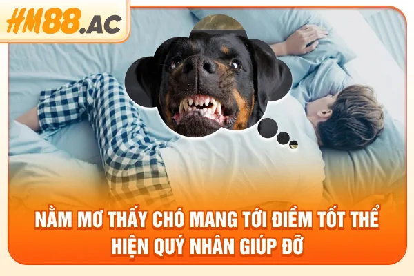 Nằm mơ thấy chó mang tới điềm tốt thể hiện quý nhân giúp đỡ