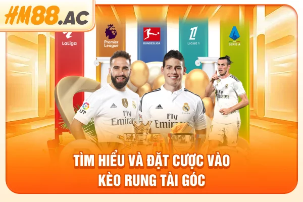 Tìm hiểu và đặt cược vào kèo rung tài góc